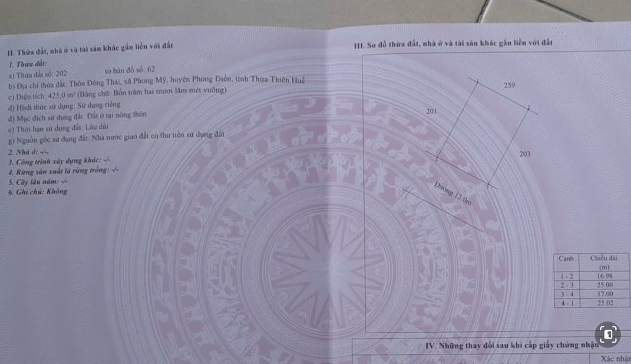 Đất thổ cư Đông Thái, Phong Mỹ 425m² - Gần trường học, tiện ích đầy đủ!