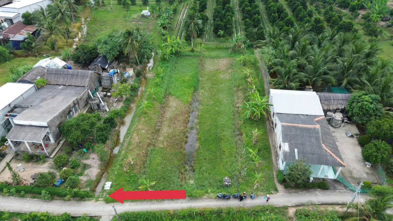 Đất thổ cư 215m² tại Tân Thạnh, Đồng Tháp - Giá chỉ 160 triệu, sổ hồng chính chủ!