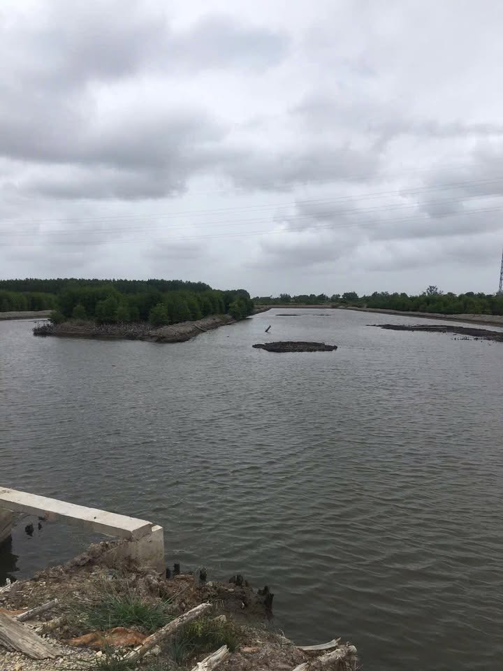 Đất nền Thị Trấn Năm Căn, Cà Mau 25.000m² giá 1.4 tỷ - Sổ xanh chính chủ, sang gấp!