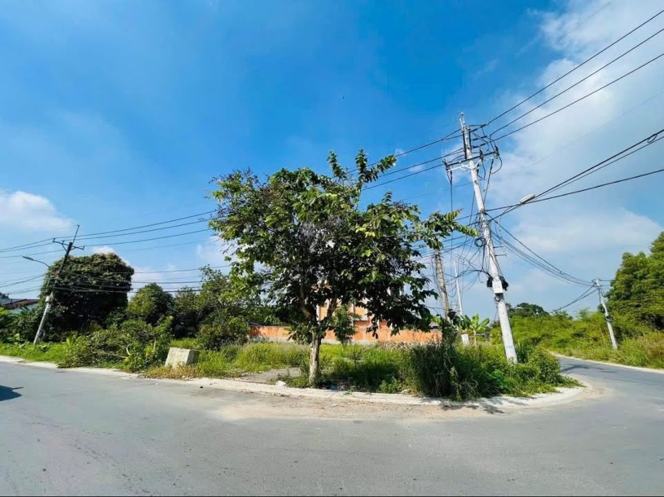 Đất nền xã Tân Thạnh Tây, Huyện Củ Chi 1098m² - Góc 2 mặt tiền đường nhựa thông thoáng!