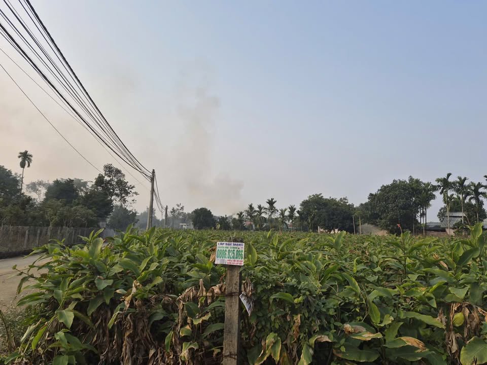 Lô đất Minh Quang Ba Vì 1980m² giá thỏa thuận - Đầu tư sinh lời ngay!