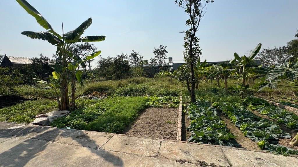 Đất nền Ngọc Khám, Thuận Thành, Bắc Ninh 74m² giá 2.3 tỷ - Sổ đỏ chính chủ, giao dịch ngay!