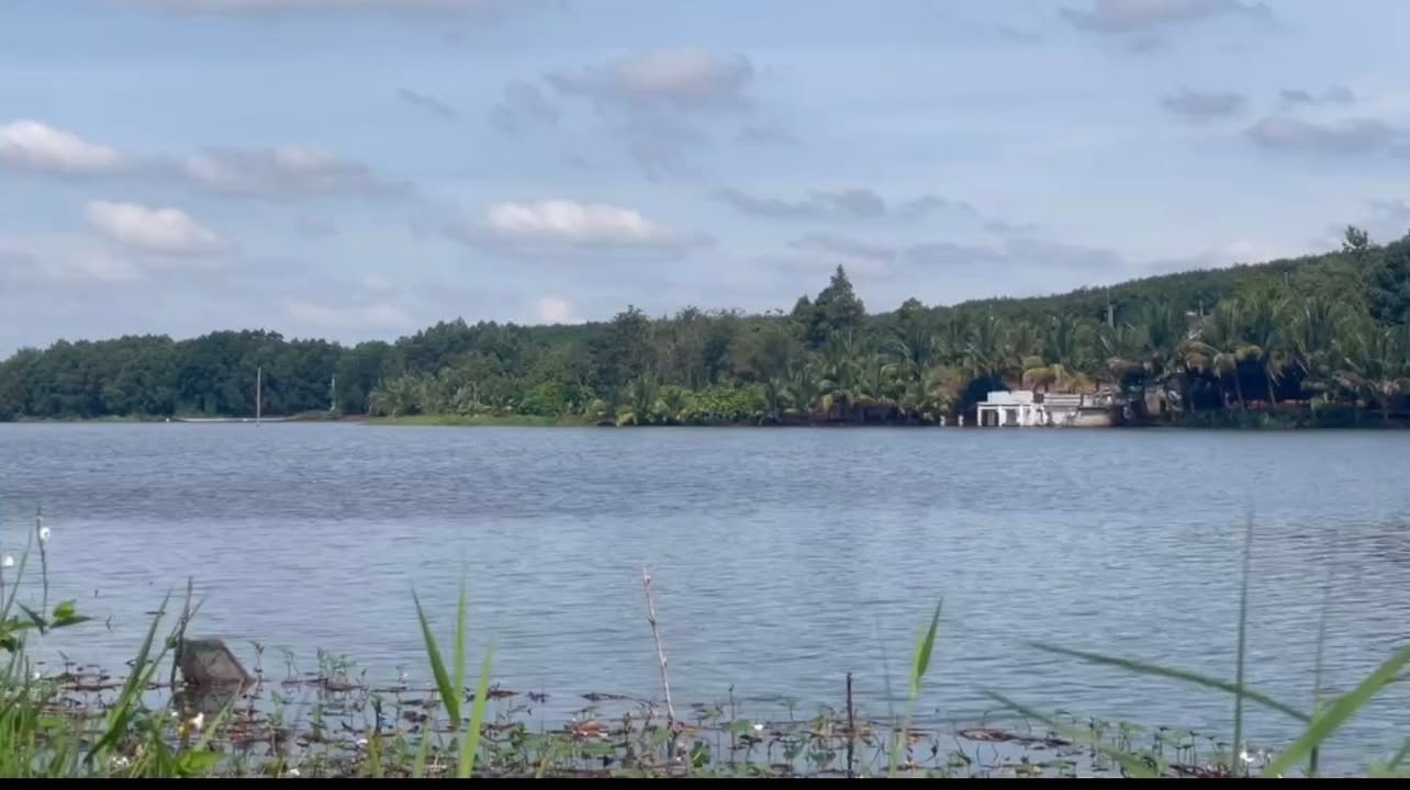 Đất thổ cư 2.7ha tại Lộc Tấn, Bình Phước - Mặt tiền 160m, giá chỉ 12 tỷ!