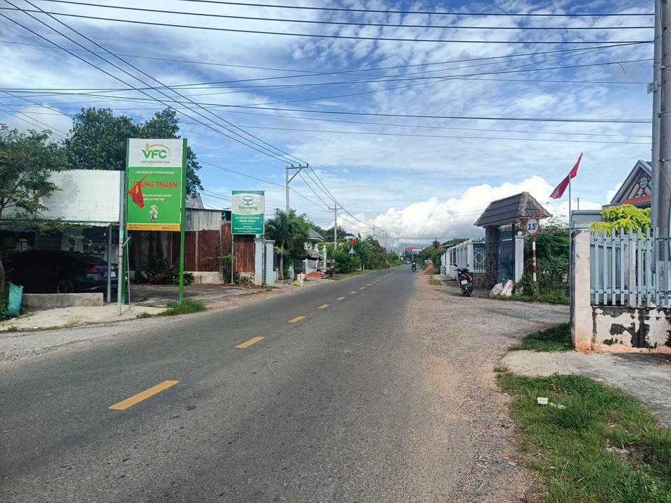 Đất CLN 1.200m² tại Phan Thiết - Giá chỉ 1,2 tỷ, chính chủ bán gấp!