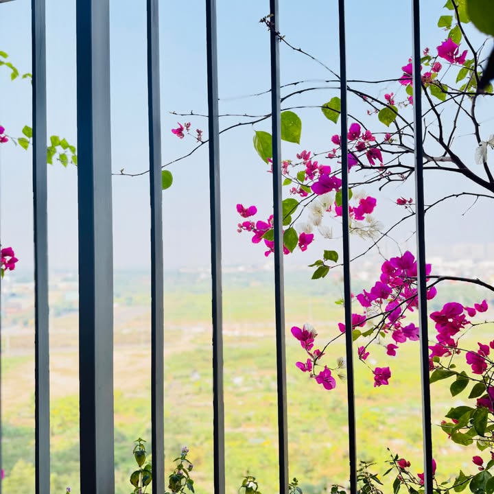 Căn hộ chung cư Rừng Cọ Hưng Yên 83m² giá 4.6 tỷ - Đầy đủ nội thất, nhà mới đẹp!