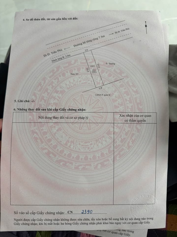 Đất thổ cư 125m² tại Lương Nham, Văn Chấn - Vị trí trung tâm, không ngập lụt!