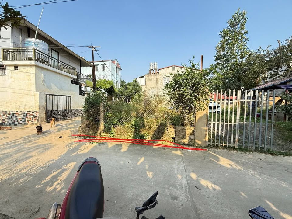 Đất nền 255 Đại Lộ Nguyễn Thái Học 80m² - Ngõ ô tô, giá chỉ 9xx triệu!