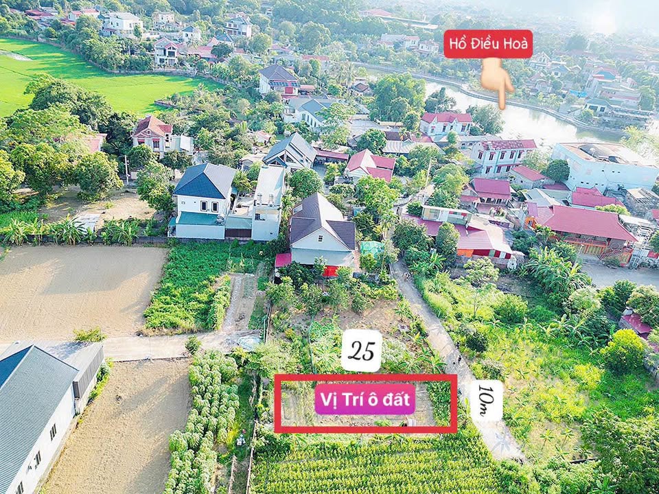 Đất thổ cư 250m² tại trung tâm Thị Trấn Thanh Sơn - Cơ hội đầu tư tuyệt vời!