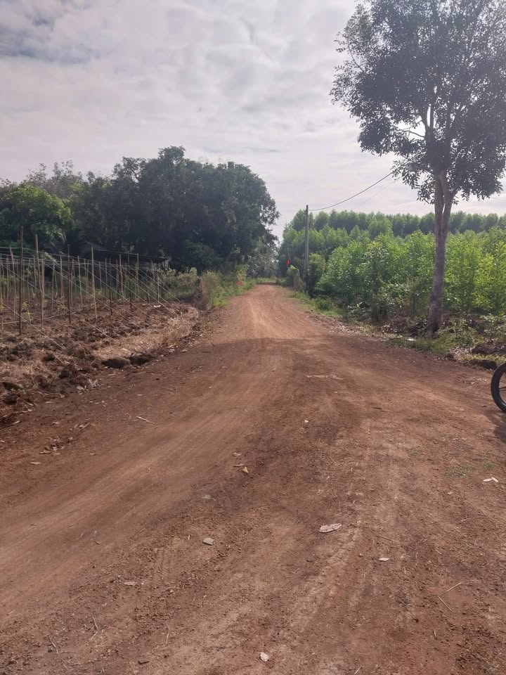 Đất nền Đức Thượng Hoài Đức 10,800m² giá 1.05 tỷ - Cơ hội đầu tư hấp dẫn!