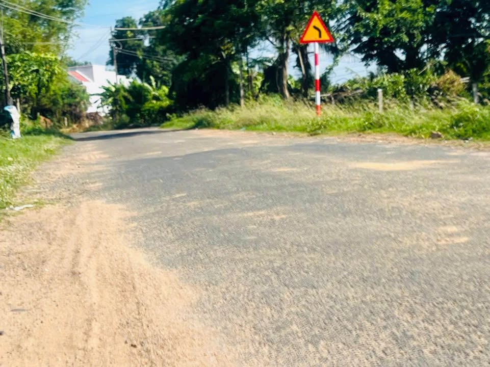 Đất Farm 9 sào mặt nhựa Hàm Hiệp, Bình Thuận giá chỉ 4.5 tỷ - Cơ hội đầu tư hấp dẫn!