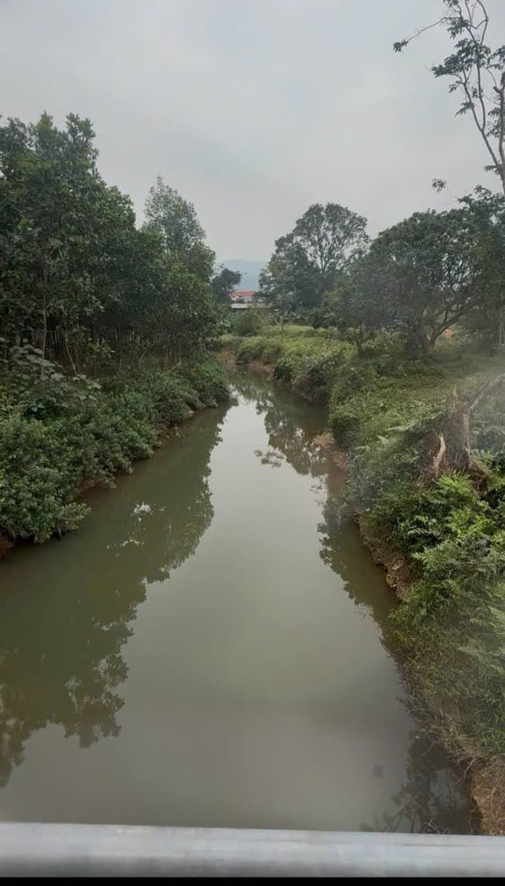 Đất bám suối tại Tỉnh lộ 301, Phúc Yên 1000m² chỉ 3 tỷ - Cơ hội vàng cho nhà đầu tư!