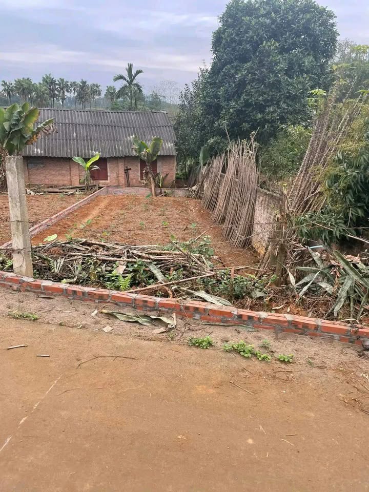 Đất chính chủ xã Tùng Khê, Cẩm Khê 195m² giá 4xx triệu - Đầu tư sinh lời ngay!