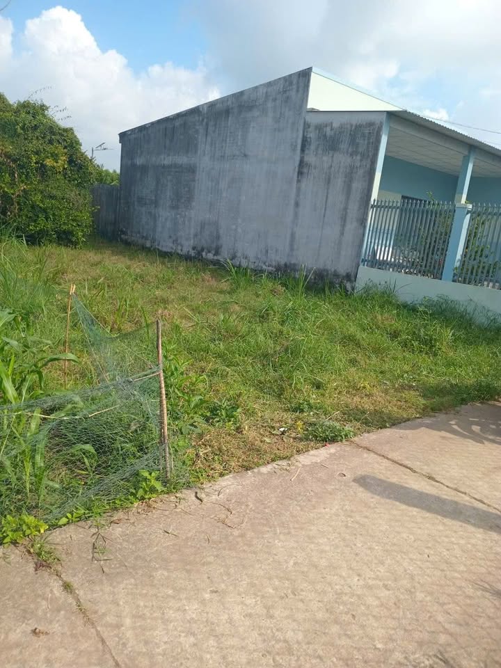 Đất nền 80m² tại Huyện Giồng Trôm - Đường ô tô tới nơi, chỉ 270 triệu!