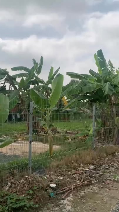 Đất nền 760m² tại Thủ Đức - Giá 29 tỷ - Cơ hội đầu tư không thể bỏ lỡ!