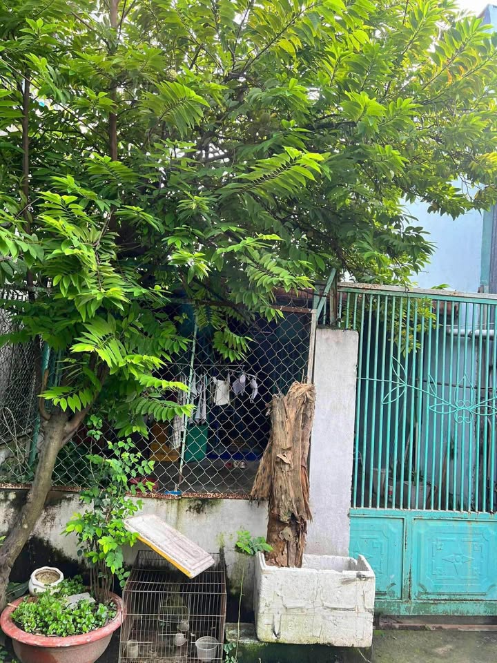 Nhà hẻm xe hơi Tân Chánh Hiệp, Quận 12, Diện tích 88m², Giá chỉ 3.95 tỷ - Pháp lý rõ ràng