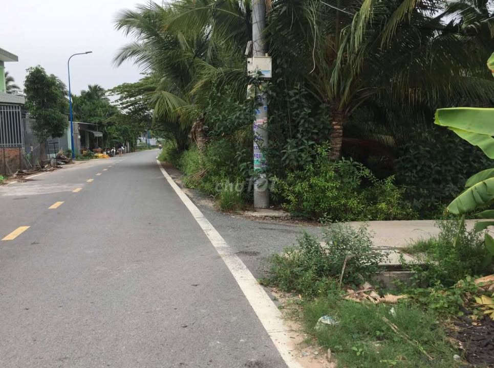 Lô đất góc 2 mặt tiền Nhị Bình 12, Hóc Môn 950m² giá 10.5 tỷ - Cơ hội đầu tư hấp dẫn!