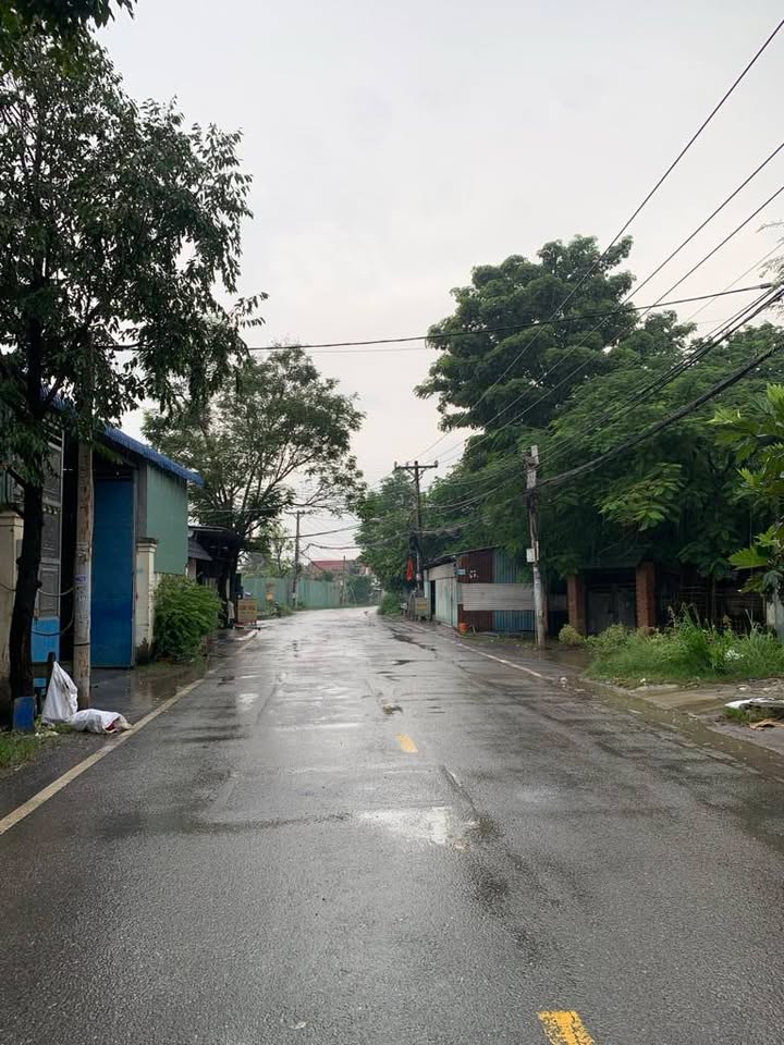 Đất Nhị Bình 3, Hóc Môn 473m² giá 8.5 tỷ - Nhà vườn tặng kèm!