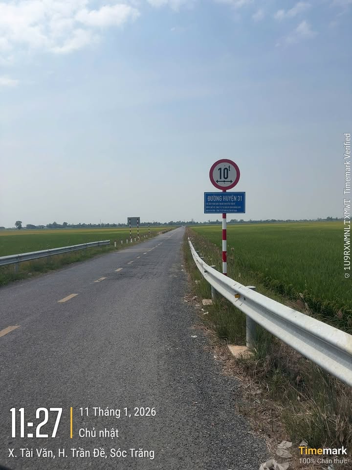 Bán đất mặt tiền Tuyến Lộ 31, Xã Tài Văn, 4440m² - Đầu tư sinh lời lý tưởng!