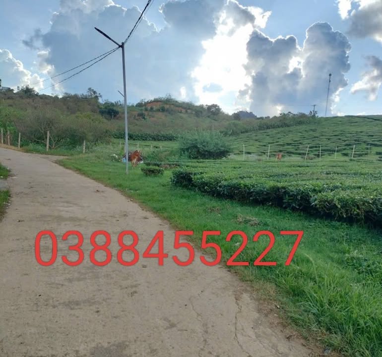 Đất nghỉ dưỡng Mộc Châu 1110m² giá chỉ 1 tỷ - Lô góc 2 mặt đường tuyệt đẹp!