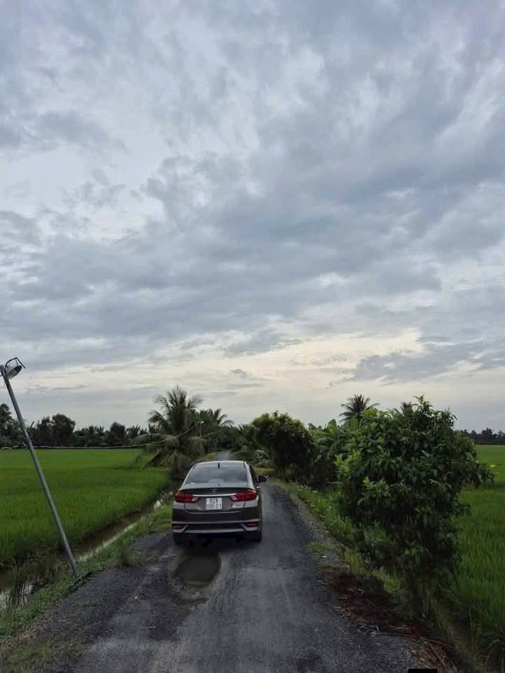 Đất thổ cư An Hòa Thủ Thừa 175m² giá 395 triệu - Đường nhựa 6m, thương lượng tốt!