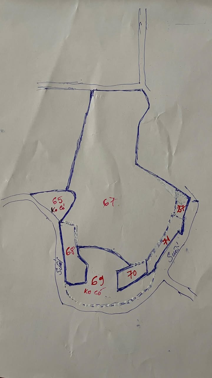 Đất Bình Sơn, Long Thành 1.3 mẫu - Đường xe công tới đất, chính chủ bán gấp!