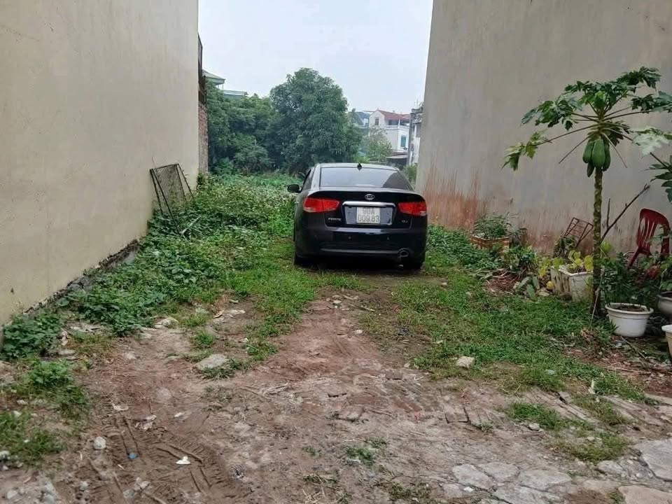 Đất nền Trung Mầu, Gia Lâm 182m² - Tiềm năng tăng giá mạnh!