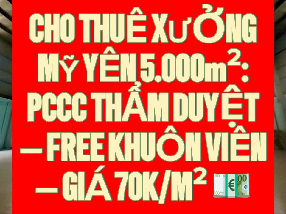 Xưởng cho thuê CCG Mỹ Yên, Bến Lức 5000m² - Giá tốt, xe container ra vào thoải mái!