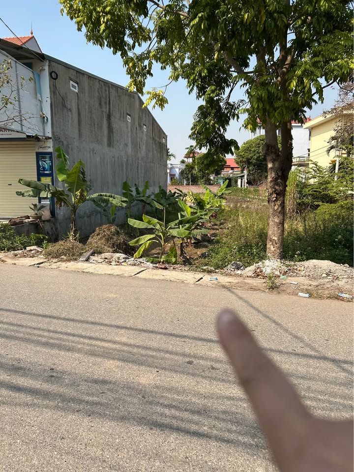 Đất nền Lôi Châu, An Thịnh 131m² giá 3 tỷ - Bán gấp trước Tết!