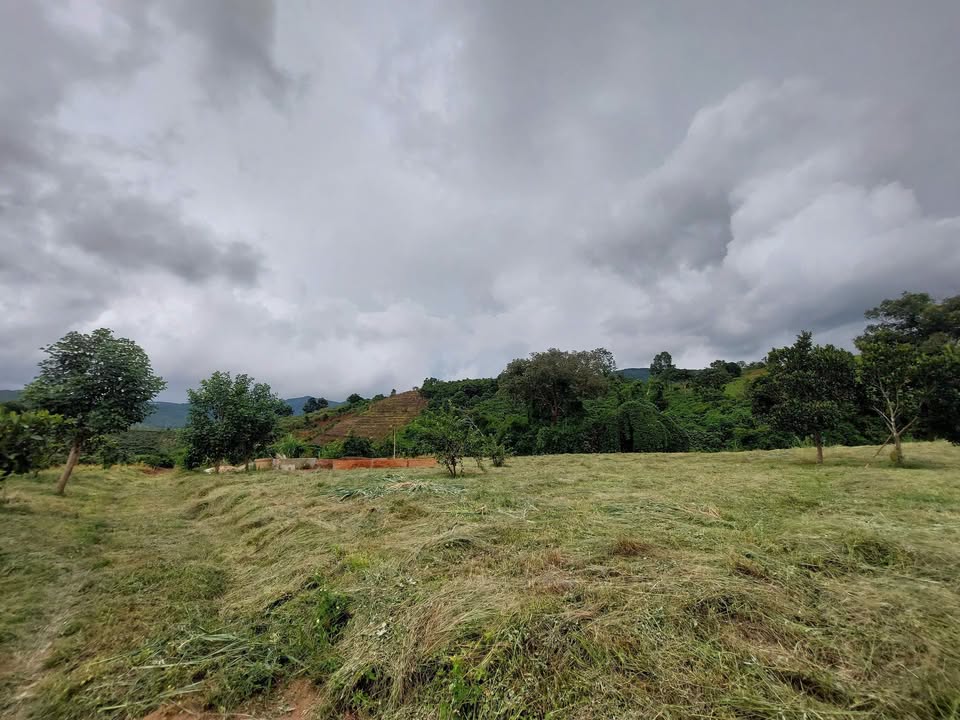 Đất chính chủ 3200m² tại Đông Thanh, Lâm Hà - Giá chỉ 4.5 tỷ có thương lượng!