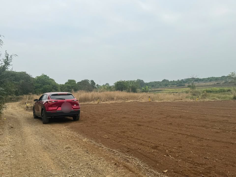 Đất nền xã Long Tân - Huyện Long Đất 503m² giá 550 triệu - Sổ riêng, xe hơi vào tận nơi!