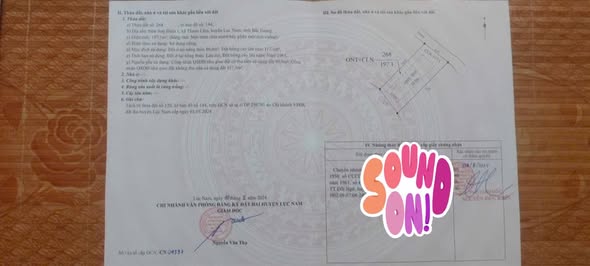 Đất nền xã Thanh Lâm, huyện Lục Nam 200m² giá chỉ 400 triệu - Cơ hội đầu tư tuyệt vời!