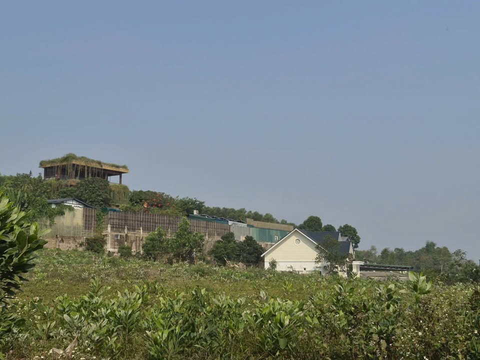 Đất Cẩm An, Cẩm Lĩnh 900m² giá 4 triệu/m² - Cơ hội đầu tư hấp dẫn!