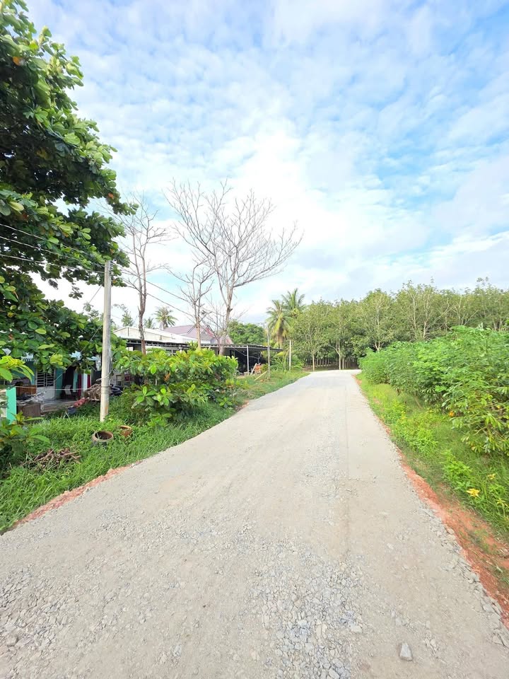 Đất thổ cư Gò Dầu 100m² giá 330 triệu - Sổ hồng riêng, sang tên ngay!