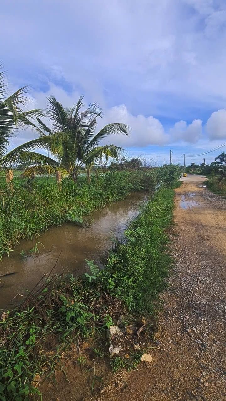 Đất diện tích 1300m² tại Hàm Thắng, Hàm Thuận Bắc - Giá chỉ 1.5 tỷ!