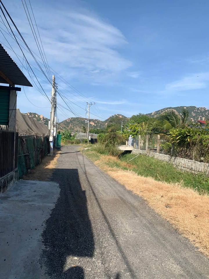 Đất Nông Nghiệp 3 Sào Gần Cafe Khánh Dương - Giá Chỉ 700 Triệu/Sào