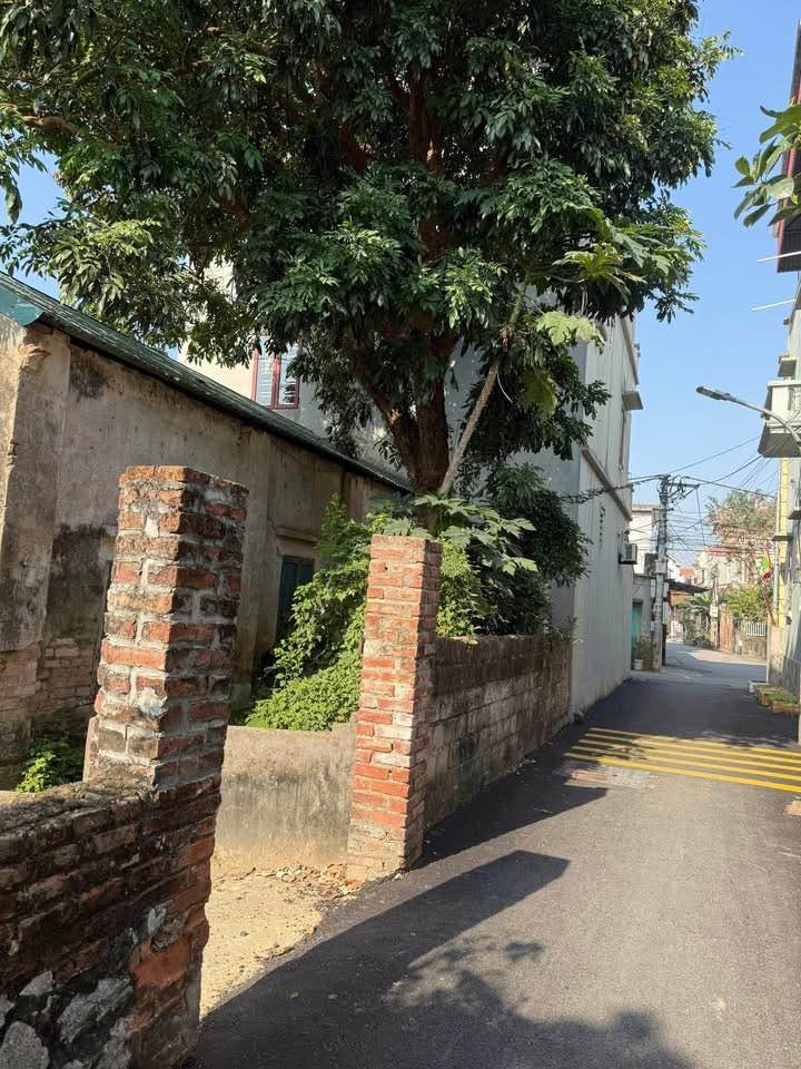 Đất nền Phường Đại Cương 193m² giá thỏa thuận - Tiềm năng sinh lời cao!