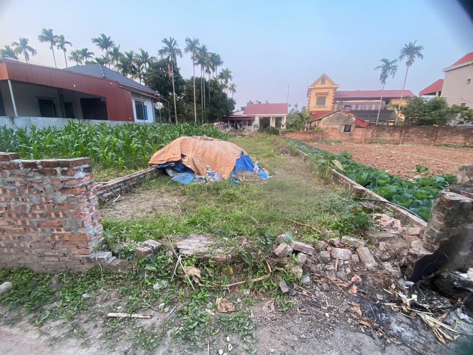 Đất nền 100m² tại Dưỡng Phú, Kim Động - Hướng chính Nam, giá thỏa thuận!