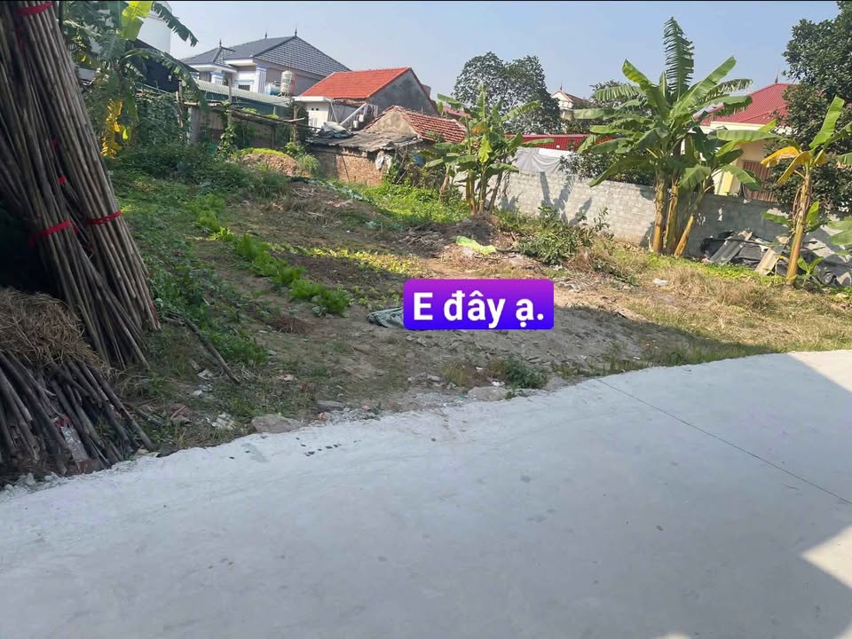 Bán đất thổ cư 332m² tại Vũ Xá, Kim Động - Đầu tư tiềm năng, giá chỉ 100 triệu/m²!