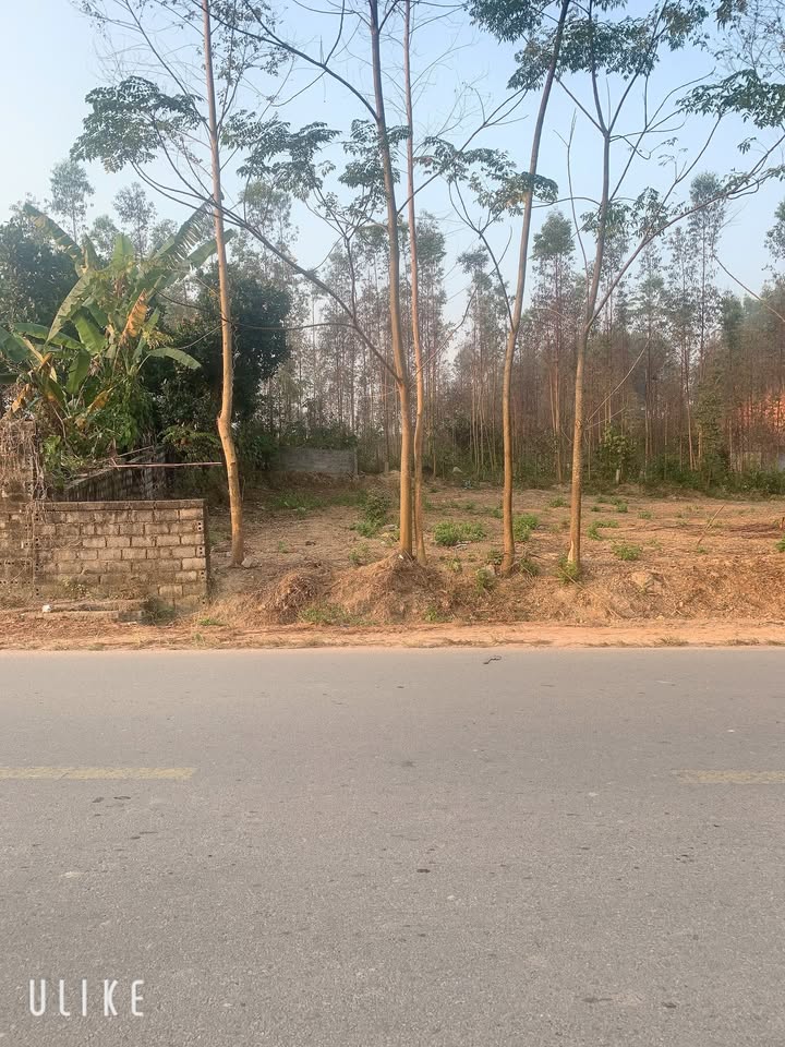 Đất nền mặt tiền 10m tại Ao Tuần, Yên Thế, Bắc Giang 260m² - Đầu tư sinh lời ngay!