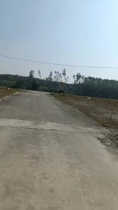 Đất đấu giá Nam Thái 300m² giá 1 tỷ - Sổ đỏ chính chủ, đầu tư sinh lời!