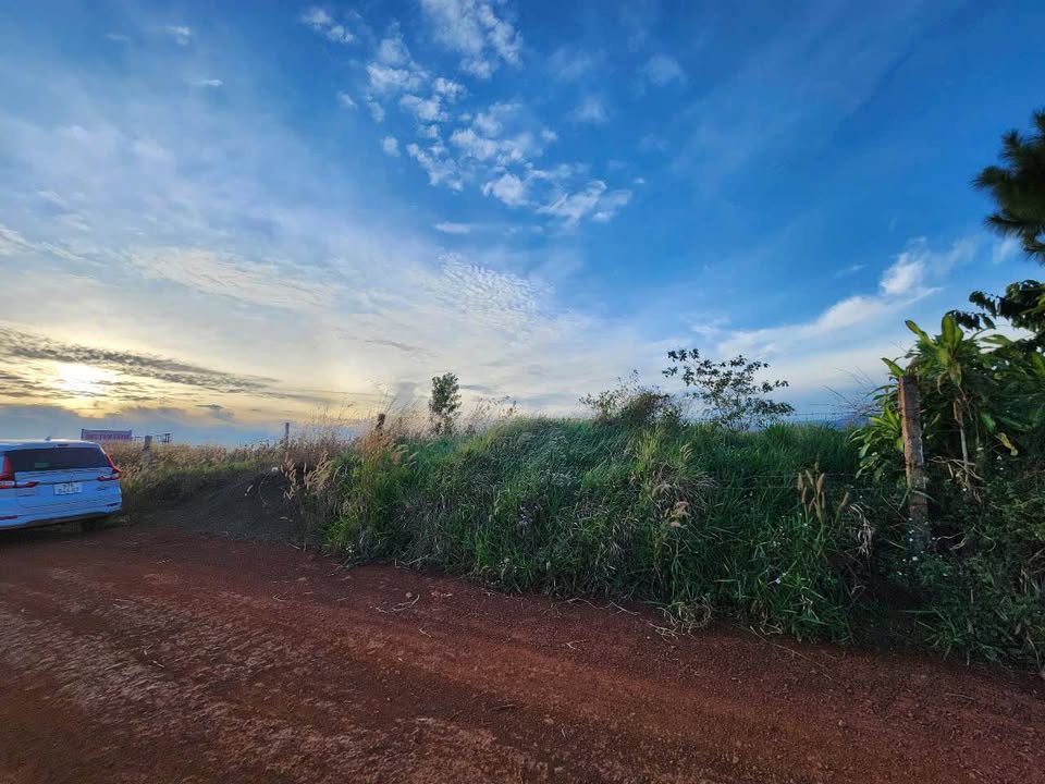 Đất nền 4,3 sào tại Lộc Tân, Bảo Lâm - Giá chỉ 2,54 tỷ, thương lượng ngay!