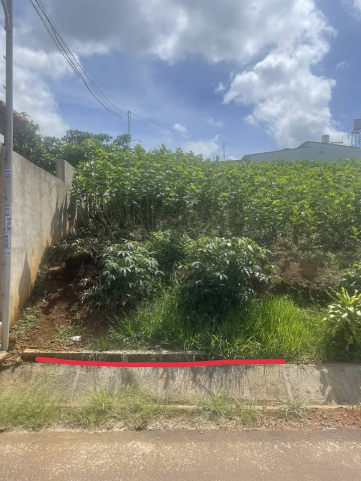 Đất thổ cư 50 Trần Quý Cáp, Bảo Lộc 5m² giá chỉ 980 triệu - Cơ hội đầu tư tuyệt vời!