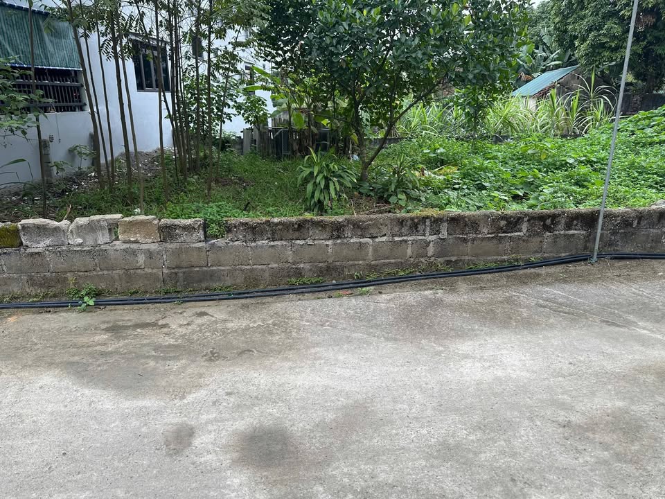 Đất thổ cư 131m² tại thị trấn Yên Sơn, giá thỏa thuận - Cơ hội đầu tư hấp dẫn!