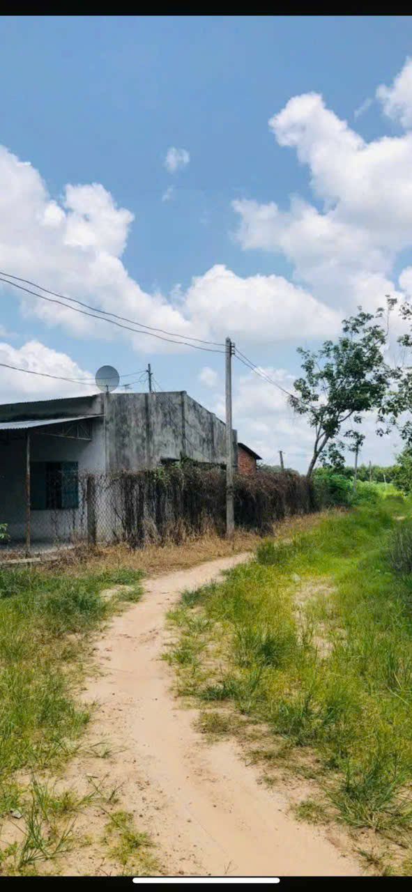 Đất nền chính chủ xã Tân Bình, huyện Tân Biên, 130.000m² giá 1.1 tỷ - Cơ hội đầu tư tuyệt vời!