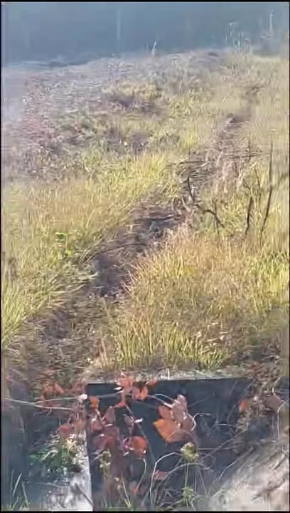 Đất rẫy 50.000m² tại Chót Mạt, Tây Ninh - Giá chỉ 5 tỷ VND!