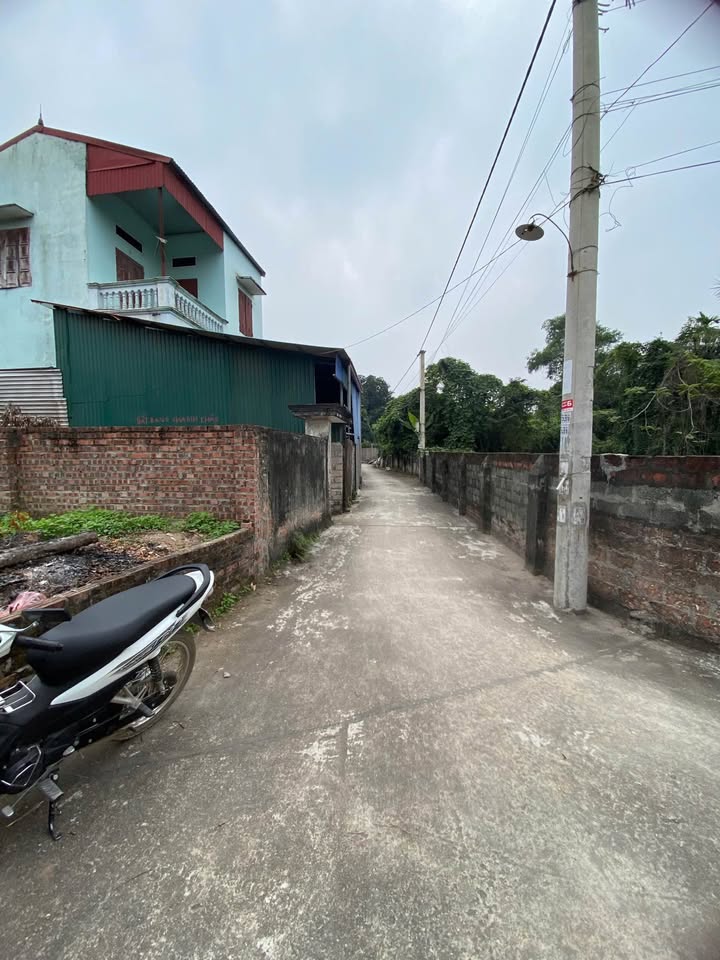 Bán lô đất Trạch Mỹ Lộc 300m² giá chỉ 20 triệu/m² - Cơ hội đầu tư hiếm có!