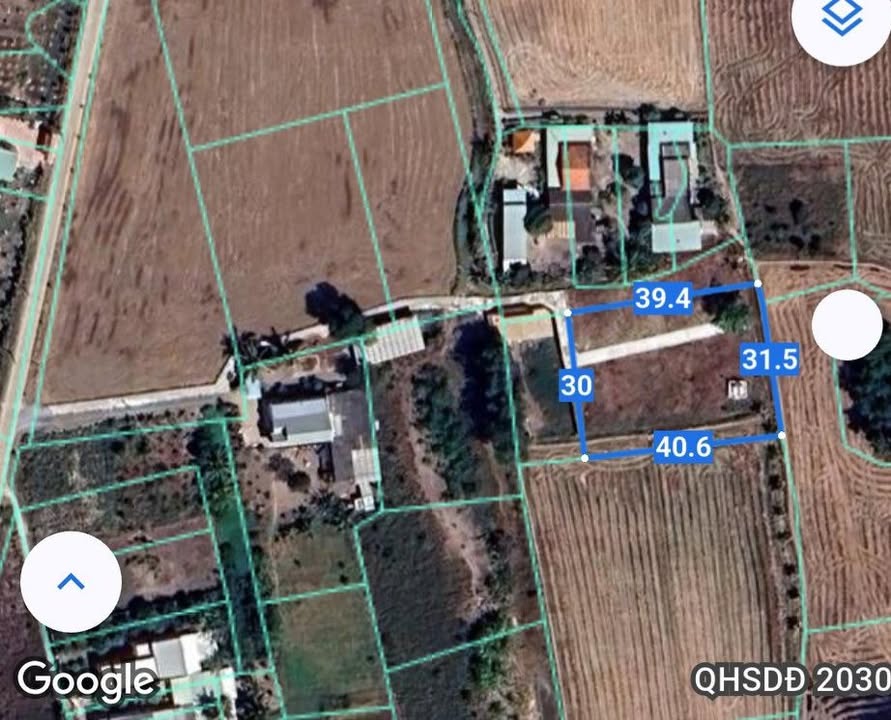 Đất thổ cư 1250m² tại Quốc lộ 50, Cần Giuộc - Giá chỉ 2.999 tỷ!