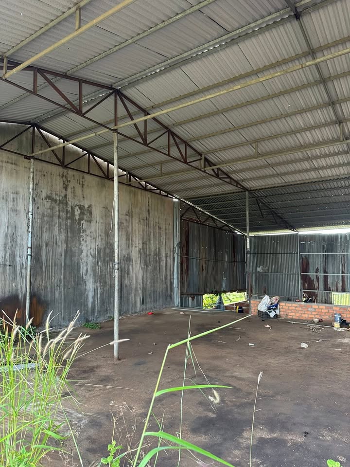 Đất thổ cư thôn 2 xã Ea H'leo 1500m² giá 3.75 tỷ - Vị trí đắc địa mặt Quốc lộ 14!