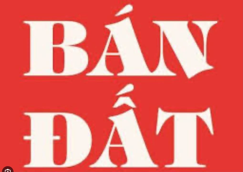 Đất nền thổ cư Tân Trào 496m² giá 2.7 tỷ - Đường thông, vị trí đẹp!