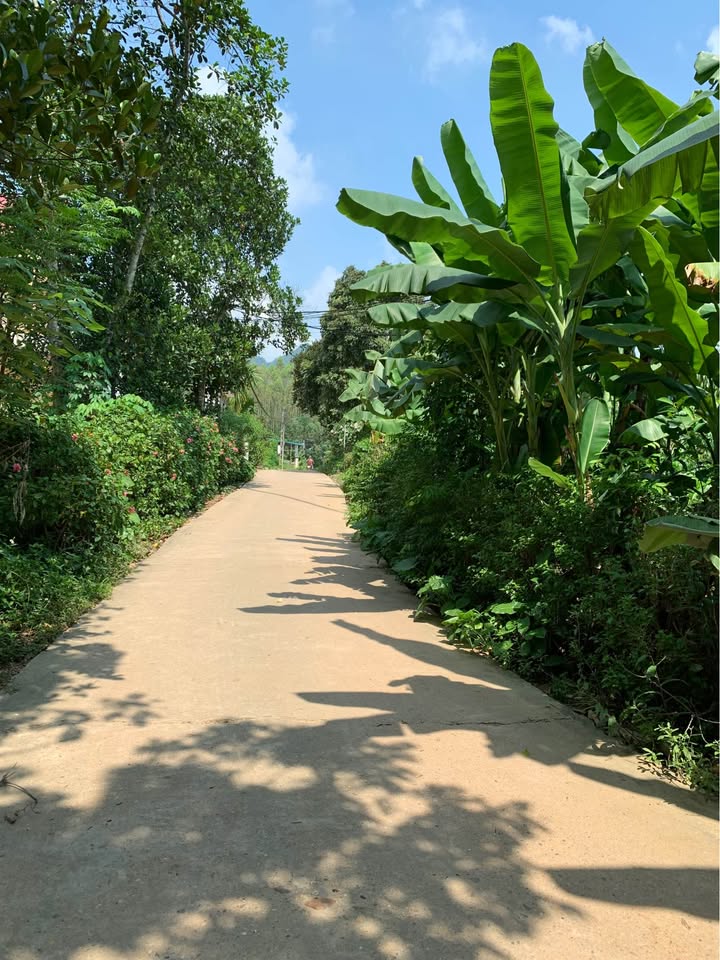 Đất nền Phường Nông Tiến 125m² giá thỏa thuận - Không gian xanh yên tĩnh